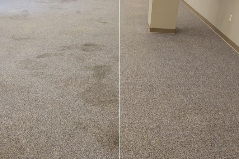 Commercial Carpet Cleaning Machines Square Scrub